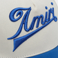 NEW-AMIRI STENCIL TRUCKER HAT